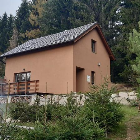Chata Ostruzina 9 Lipno nad Vltavou Exteriér fotografie